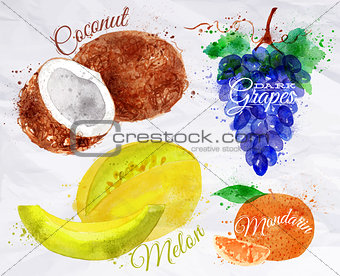 Fruit watercolor coconut, melon, mandarin, dark grapes kraft