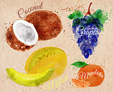 Fruit watercolor coconut, melon, mandarin, dark grapes kraft