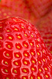 Strawberry I