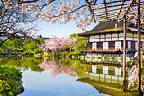 Kyoto in Spring