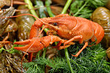 Boiled crayfish with dill