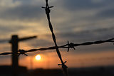Barb-wire fence 