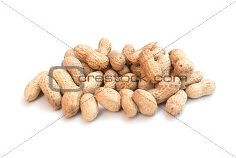 Monkey nuts, peanuts or groundnuts in shells, isolated on a whit