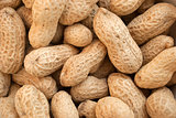 Peanuts in their shell textured food background. 