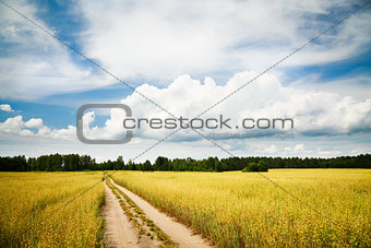 Landscape with Field and Empty Countryside Road
