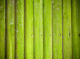 Mossy wooden background texture