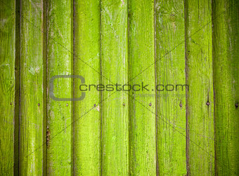 Mossy wooden background texture