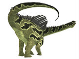 Agustinia Dinosaur Tail