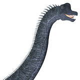 Brachiosaurus Dinosaur Head