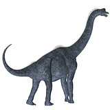Brachiosaurus over White