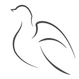 Dove outline