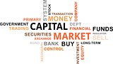word cloud - capital market