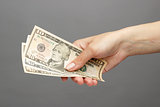 female hand holding money
