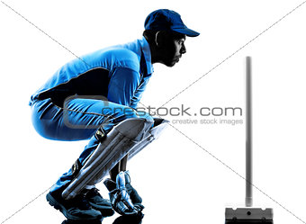 Cricket player  silhouette