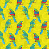 Seamless background, colorful parrots