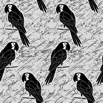 Seamless pattern, black and white parrots