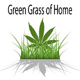 Green Grass of Home