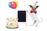 happy birthday dog