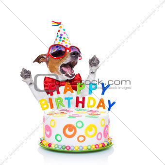 happy birthday dog singing