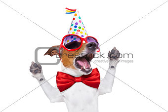 happy birthday dog singing