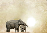 elephants on a grunge background