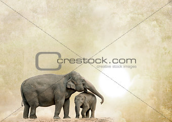 elephants on a grunge background