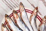 Several sardines on plate, top view.