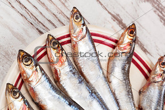 Several sardines on plate, top view.