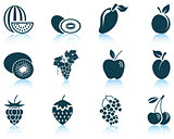 Set of fruit icon