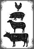 diagram cut carcasses of chicken, pig, cow, lamb
