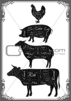 diagram cut carcasses of chicken, pig, cow, lamb