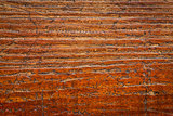 background texture of grunge wood