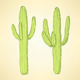 Sketch desert cactus in vintage style