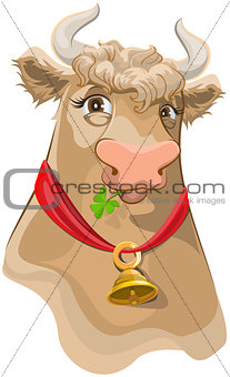 Brown head with bell cow chewing clover