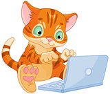 Kitten with laptop