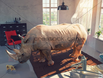 rhinoceros in the room