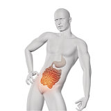 3D male medical figure with exposed guts