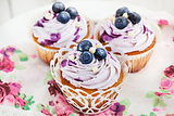 Set of tasty blueberry cupcakes