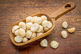scoop of macadamia nuts