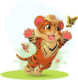 tiger and butterfly