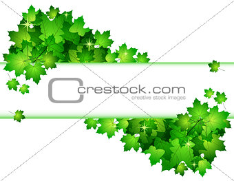 Nature background with green fresh leaves .