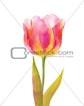 Vintage pink tulip.