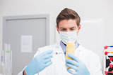 Biologist wearing protective mask and examining corn with syringe