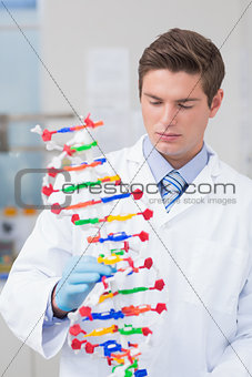 Scientist holding dna model