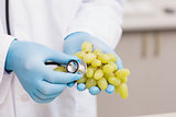 Scientist listening grapes with stethoscope