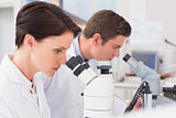 Scientists looking attentively in microscopes