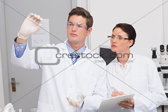 Scientists looking attentively at pill