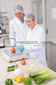 Scientists weighing tomato
