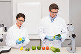 Scientists examining vegetables