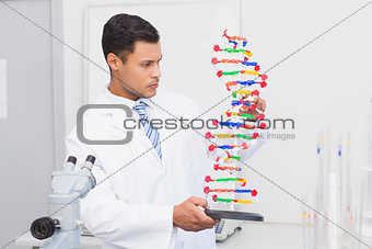 Focus scientist looking at DNA helix